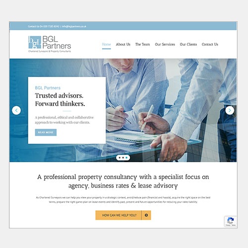 Website Design