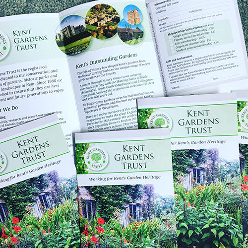 DL Leaflet Design